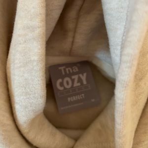 Aritzia TNA heather light oatmeal hoodie sweatshirt